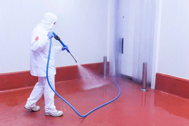 Best Building Exterior Washing  in Plainedge, NY